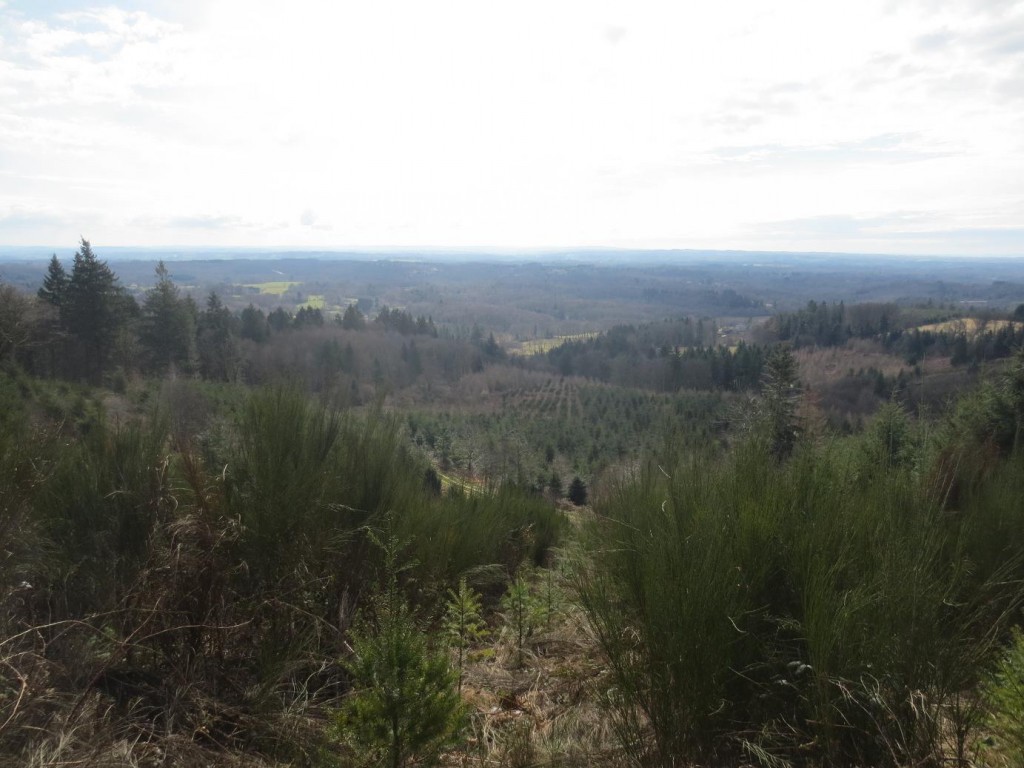 Les Monts d’Ambazac: circuit n° 2