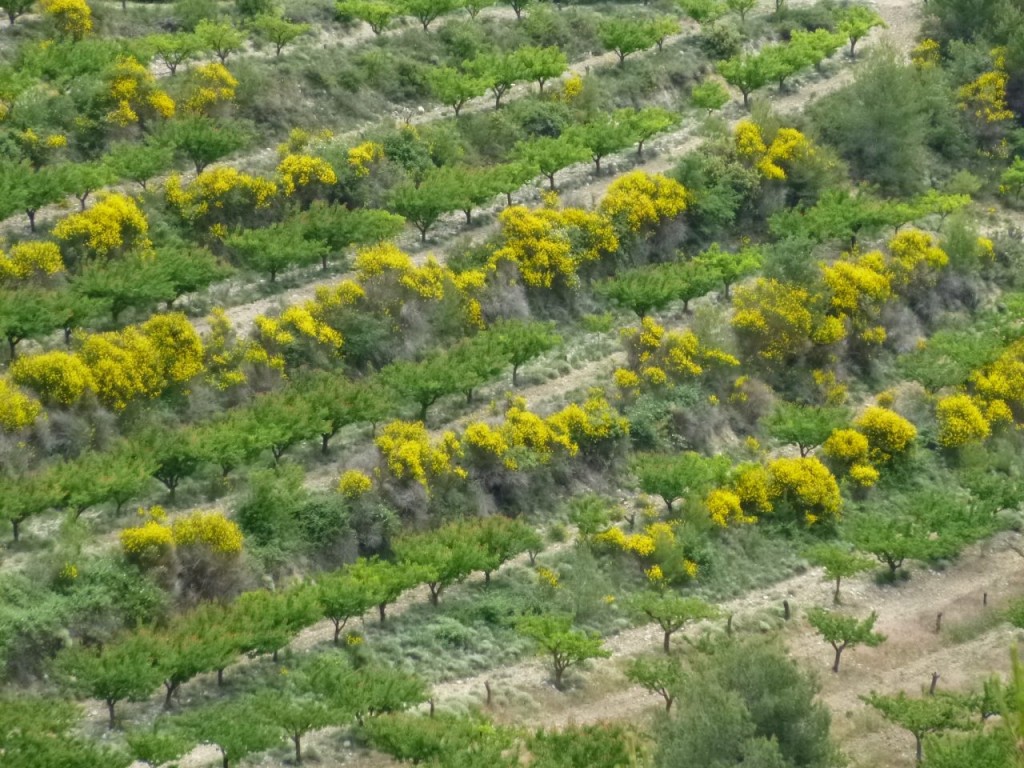 Quelques cols dans les Baronnies