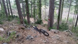 VTT-4017