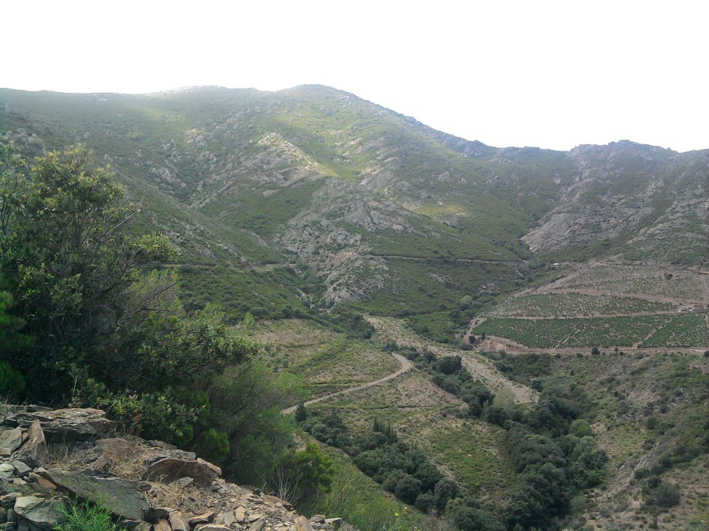 Boucle Banyuls - Col de Banyuls