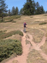 Descente après le sommet Bucher