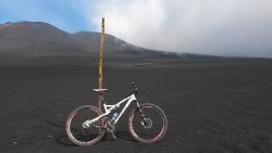 VTT-4188