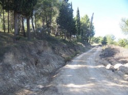 La montée après franchissement de la route (point bas du circuit)
