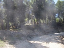 Départ de la montée après franchissement de la route