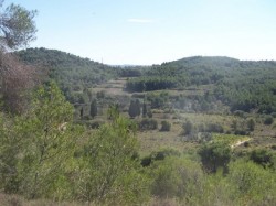 Vue sur les Puechs Pounchat et Cabrio