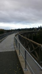 Les Ponts Neufs