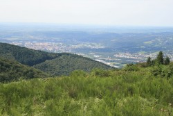Mazamet/Aussillon et toutes les villes satellites  (Tarn)