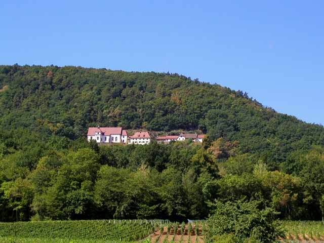 Westhalten - Boucle par la Maison Forestière de Rizenthal