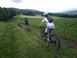 VTT-19096