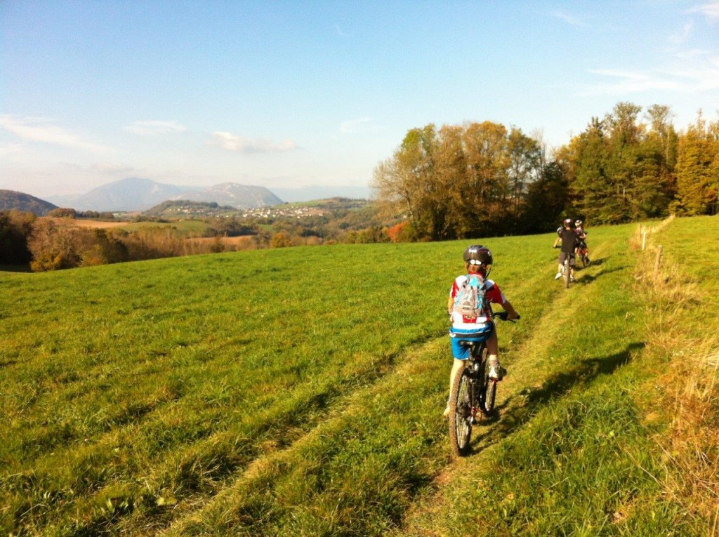 Albanais : Circuit VTT FFC N°8 - Le vieux four
