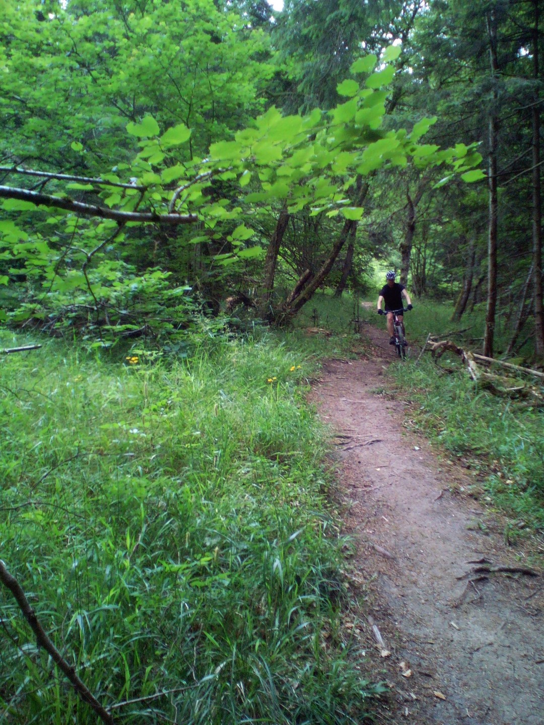 Descente des Voirons