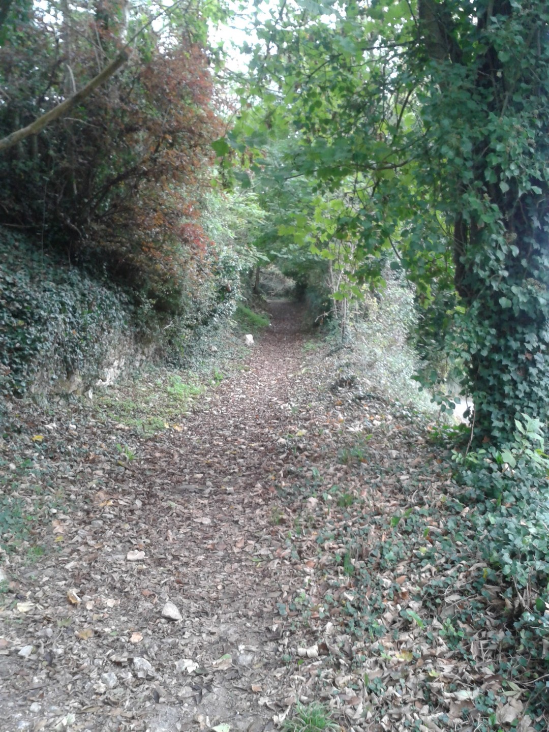Chemins et  sentiers du Val de l'Egray