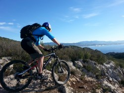 VTT-4355