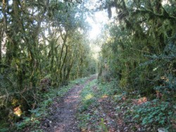 le long du ruisseau