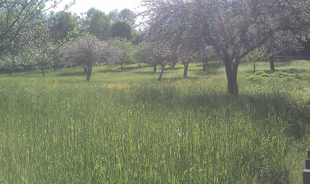 L'Aubetine