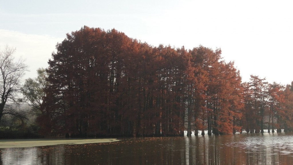 Optevoz - La Vallée Bleue