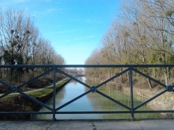 Canal de Chelles