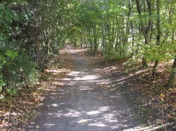 0202.Bges.La Vernusse.Chemin golf extérieur