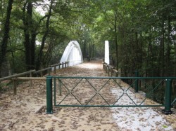 0610.Bges.Liaison douce.Prado,vers D60.
