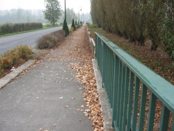 0704.Marmagne.Piste cyclable.D160.