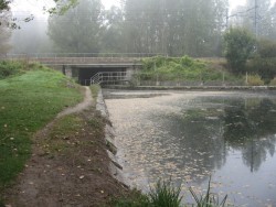 0706.Pont Vert.Canal de Berry.