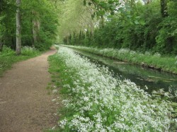 0708.Bges.Canal de Berry près du stade de Vauvert.
