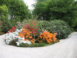 0810.Bges.Jardin Edouard André.Massifs de fleurs