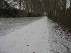 0902.Bges.Trouée verte sous la neige.