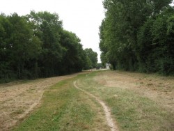 1106.Plaimpied.Ecl de l'Etourneau.Canal de Berry.