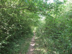 12016.Ste Solange.Bouloises.Ancienne ligne Bges-Cosne.