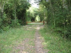 12041.Asnières.Ancienne ligne d'Orléans.