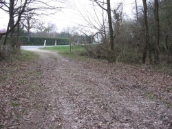 12050.St Doulchard.D104.Bois de Gérissay 