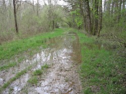 12054.St Doulchard.Bois de Gérissay.Chemin inondé .