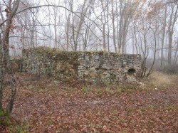 12102.Villeneuve.Bois du Palais.Ruines de la Tr de Bau