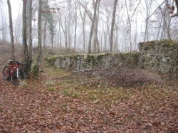 12104.Villeneuve.Bois du Palais.Ruines de la Tr de Bau
