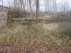 12106.Villeneuve.Bois du Palais.Ruines de la Tr de Bau 