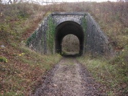 12150.St Florent.La Vallée aux Loups.Chemin PR.Pt sous ligne SNCF