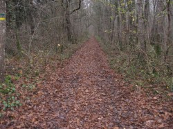 12160.St Florent.Champfrost.Les maisons Balles.La Vallée aux Loups.Chemin PR