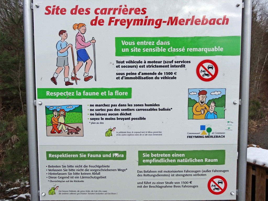 Sarrebrück - Saint-Avold