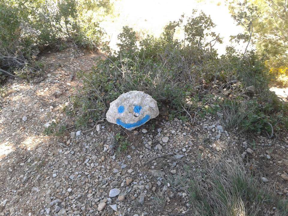 Dentelles de Montmirail