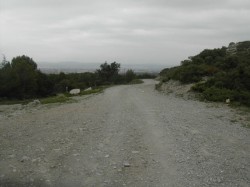 Dernière descente vers l'arrivée