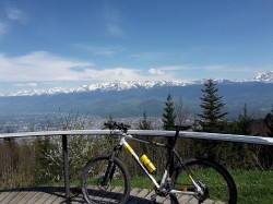 VTT-4803