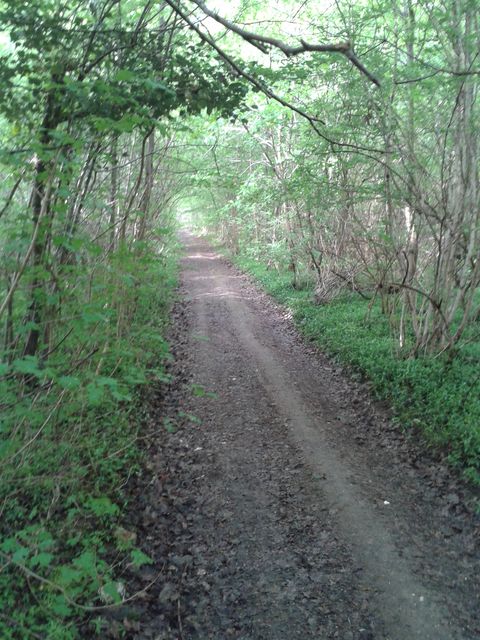 Les Raidillons Sénonais 2015 - 55 km