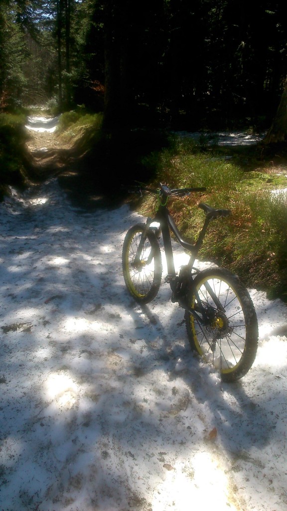 Plateau des monts du Forez