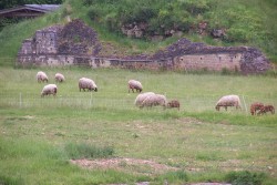 Ruine Gallo romaine de Genainville